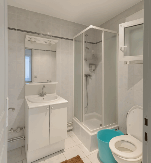 Woippy – Appartement 2 pièces meublé de 29,53 m² vendu loué (bail meublé)